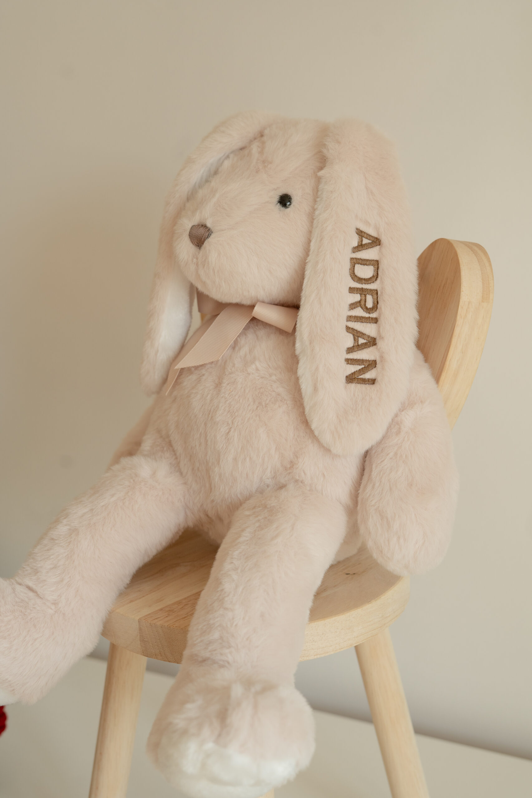 Nimeline jänes - Image 2